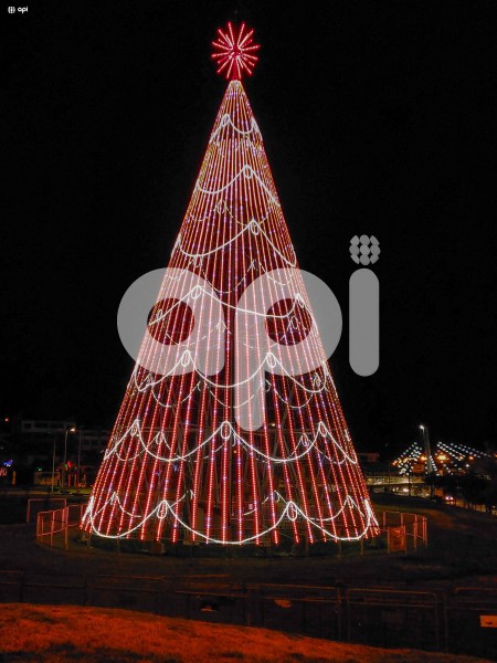 CUENCA-ARBOL-NAVIDAD