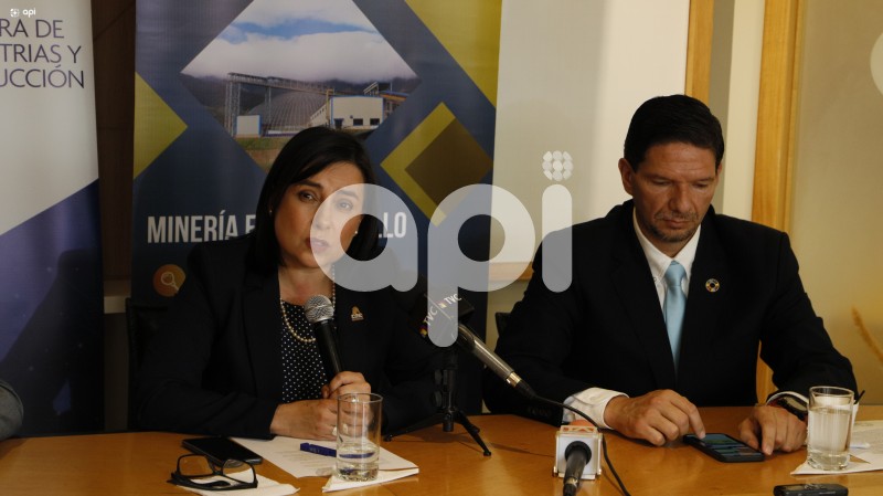 FIN-MINERIA-LOS-CEDROS