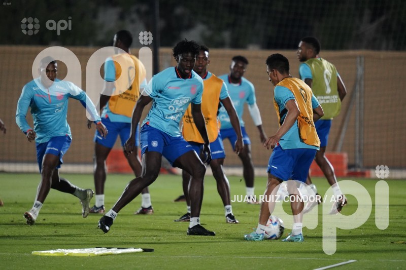 FWQ-QTR-RRPP-ENTRENAMIENTO